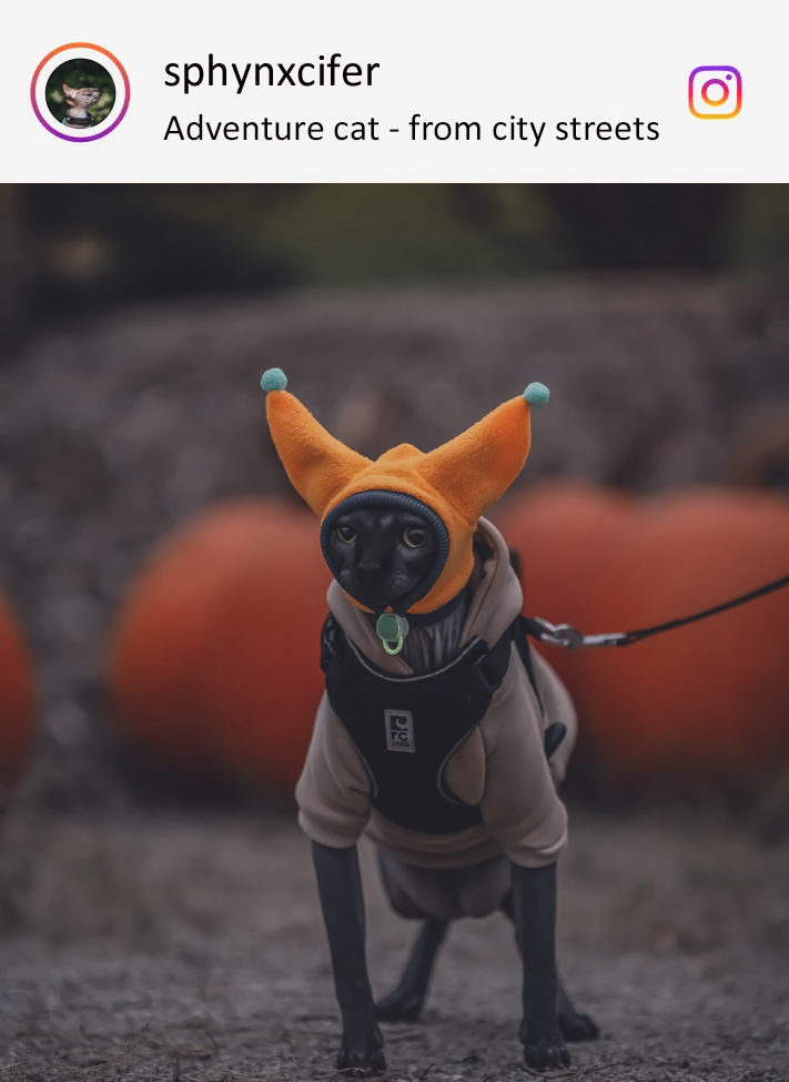 PIKAPIKA