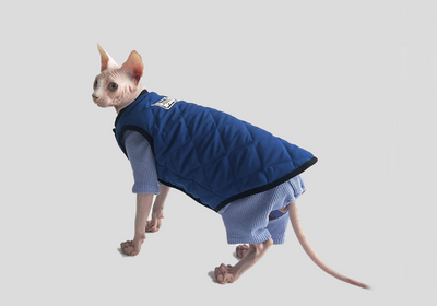 Coats & Jackets