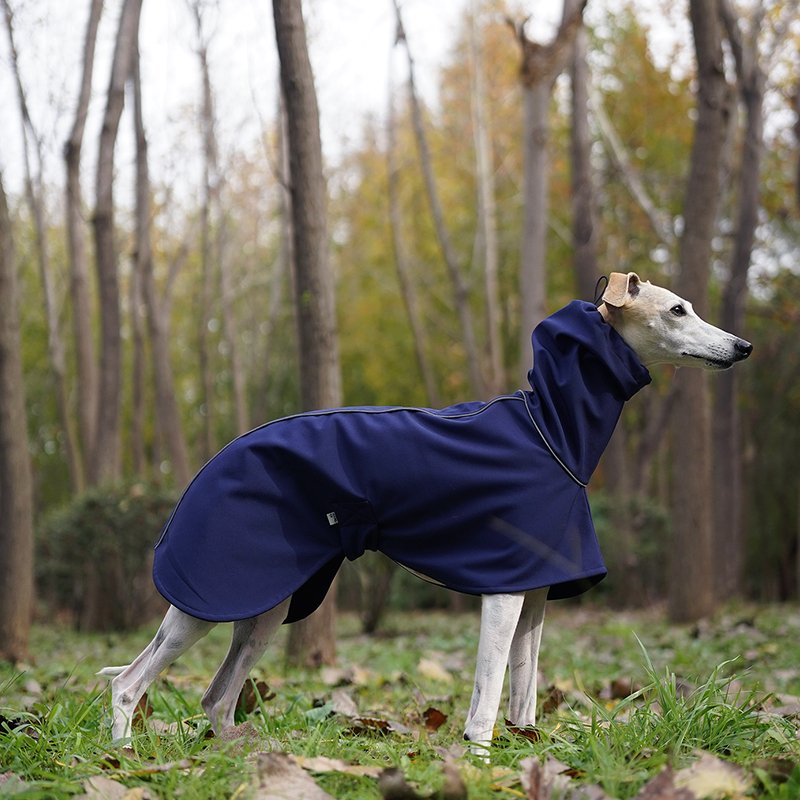 Greyhound Rain sale Jacket