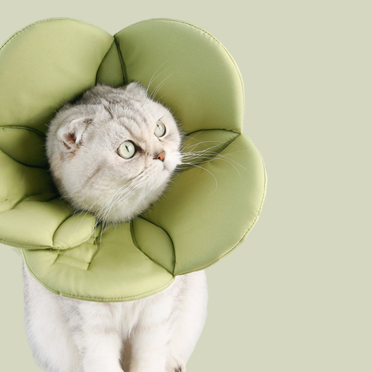 Elizabeth Cone Adjustable Collar for Dog Cat