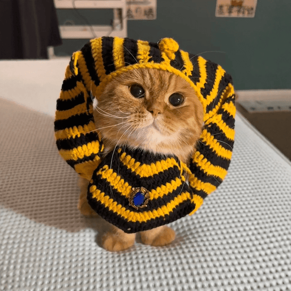 PIKAPIKA