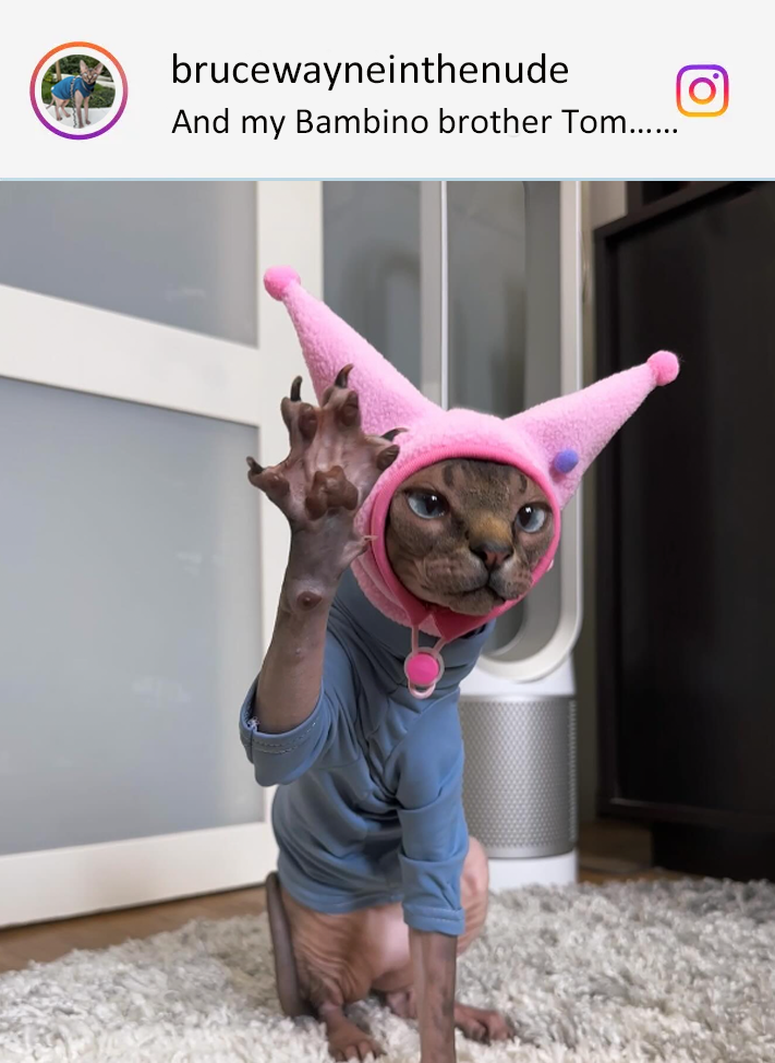 PIKAPIKA