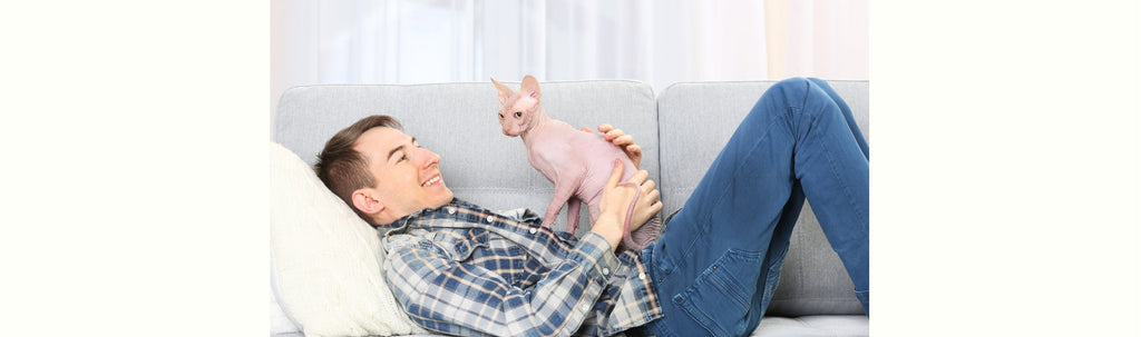 Are Sphynx Cats Hypoallergenic?