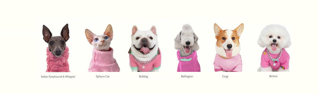 Different Breeds, Different Needs: Understanding Clothing Preferences for Different Dogs - PIKAPIKA