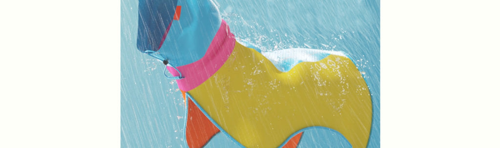 Should Your Dog Wear a Waterproof Coat? - PIKAPIKA