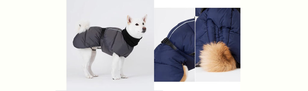 What does a good dog coat look like? - PIKAPIKA