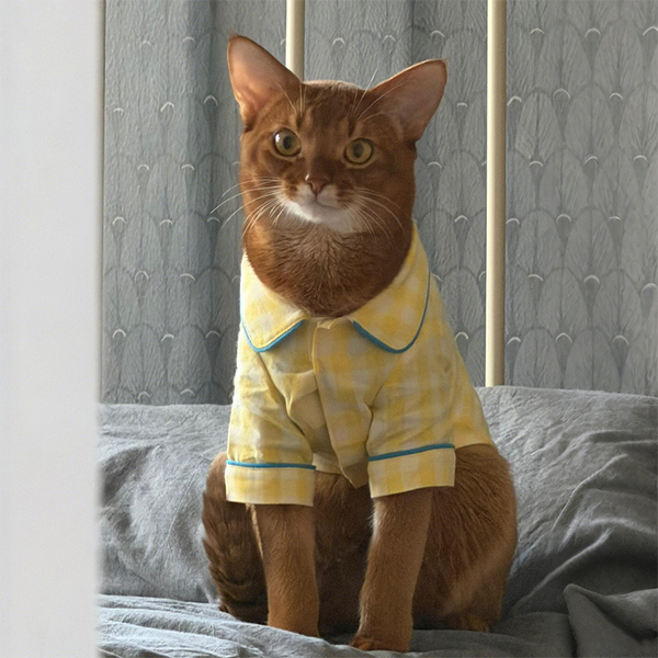 PIKAPIKA