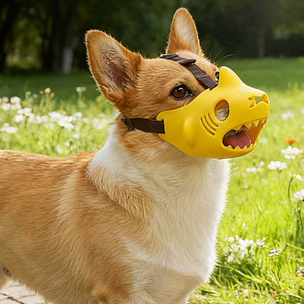 PIKAPIKA