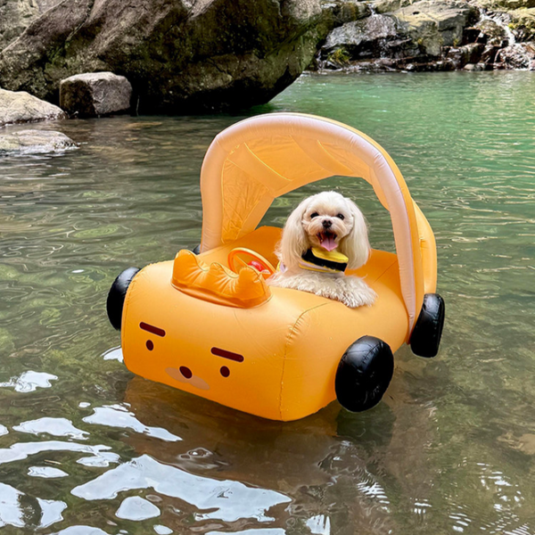 PIKAPIKA