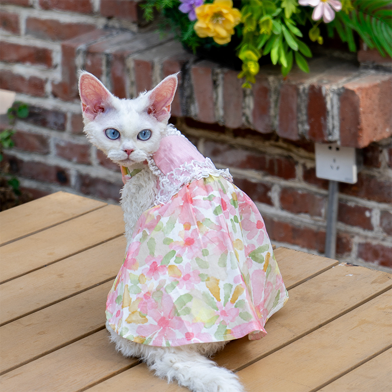 cat dress Floral Cat Dress: Lightweight Cotton Summer Outfit