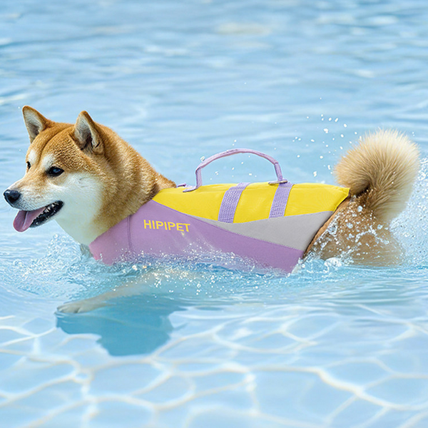 PIKAPIKA