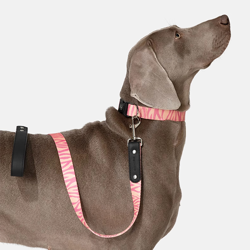 Tangle-Free Leash Anti-Pull Anti-Burn Dog Leash Comfortable Grip for Outdoor Walks - PIKAPIKA