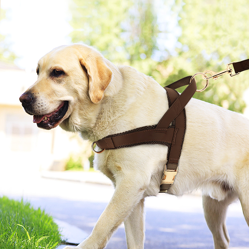 Dog Harness Vest Set Adjustable No-Choke with Leash - PIKAPIKA
