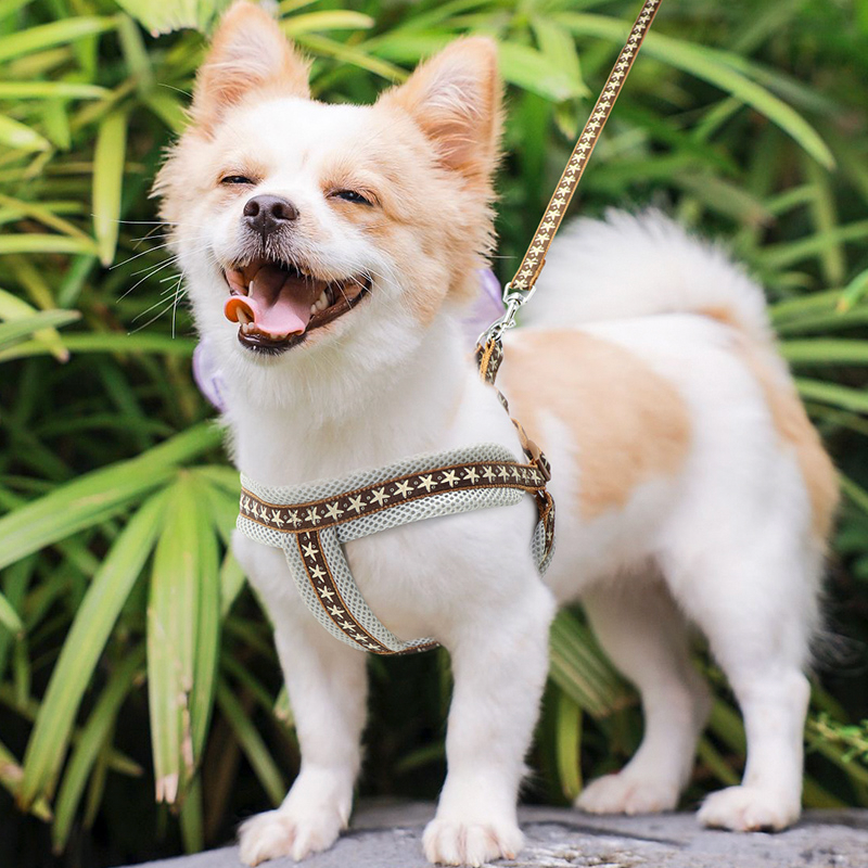 Small Dog Harness with Leash Vest-Style Set - PIKAPIKA