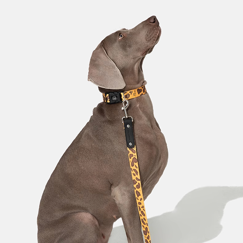 Tangle-Free Leash Anti-Pull Anti-Burn Dog Leash Comfortable Grip for Outdoor Walks - PIKAPIKA