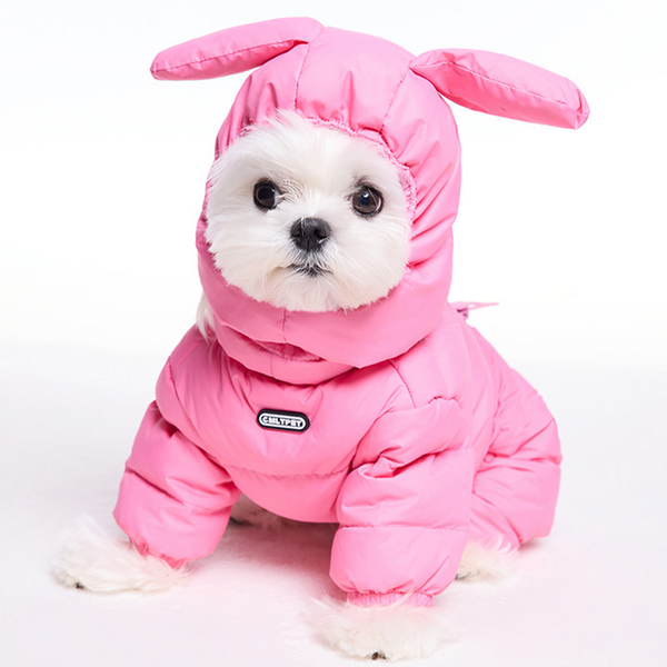 PIKAPIKA