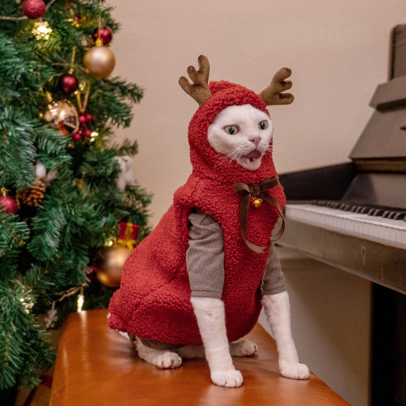 Merry Christmas for Cat