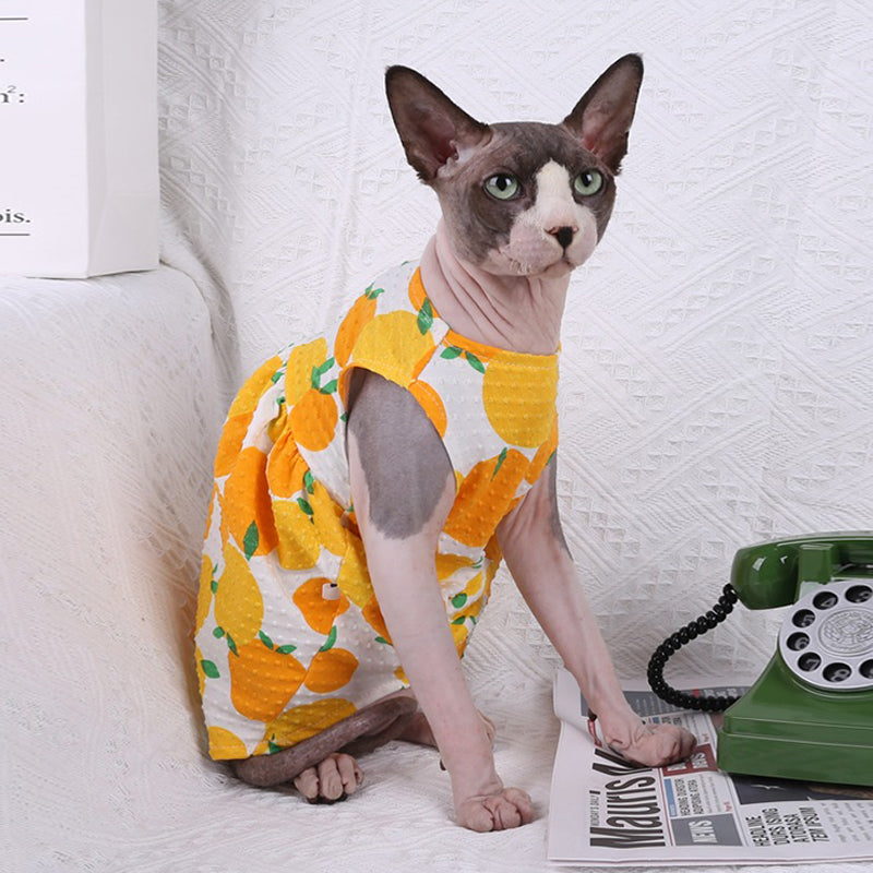 Cute Cat Dress Sphynx Cat Clothes