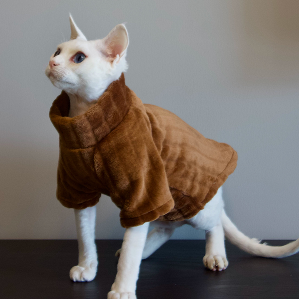 PIKAPIKA