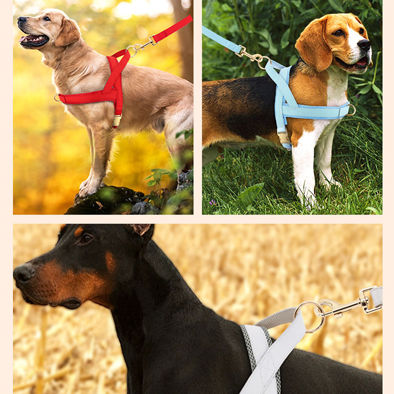Dog Harness Vest Set Adjustable No-Choke with Leash - PIKAPIKA