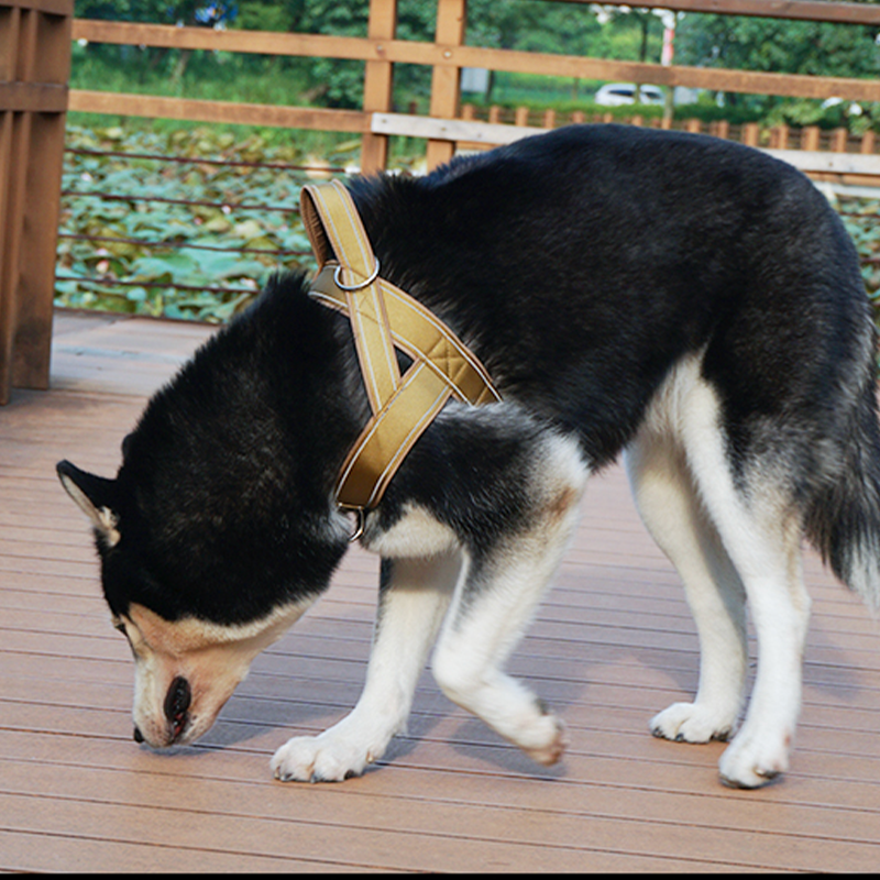 Large Dog Harness Collar Set No-Pull Anti-Escape Handle - PIKAPIKA
