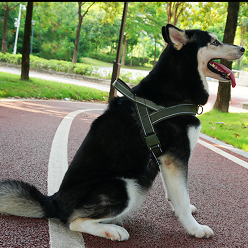 Large Dog Harness Collar Set No-Pull Anti-Escape Handle - PIKAPIKA