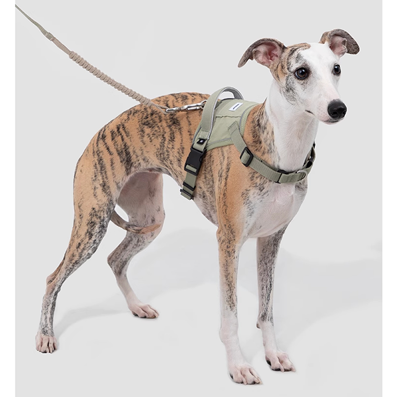 Easy-Wear Dog Harness – Anti-Pull Vest for Small Medium Breeds - PIKAPIKA