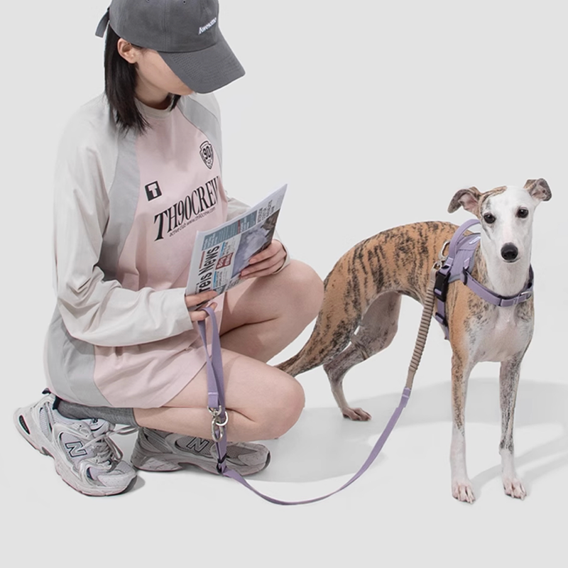 Easy-Wear Dog Harness – Anti-Pull Vest for Small Medium Breeds - PIKAPIKA