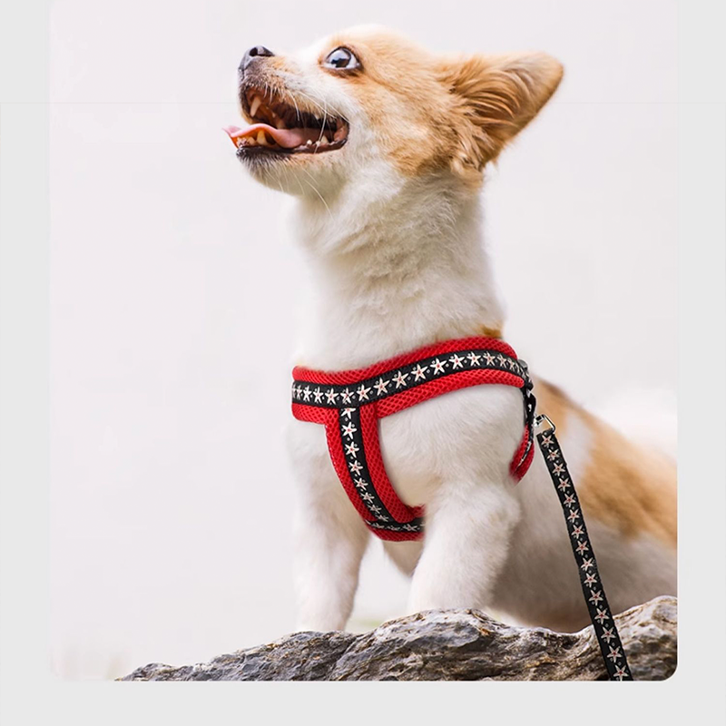 Small Dog Harness with Leash Vest-Style Set - PIKAPIKA