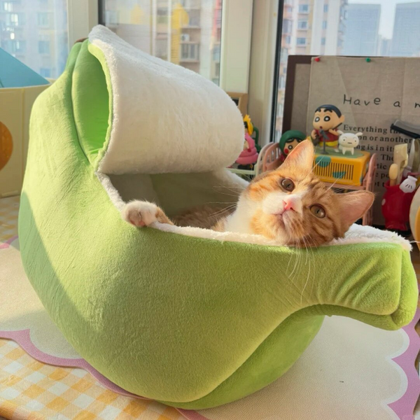 PIKAPIKA