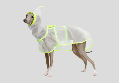 Raincoats
