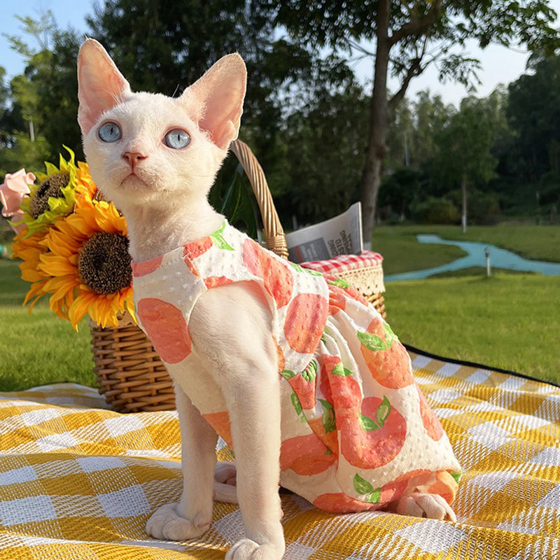 Cute Cat Dress Sphynx Cat Clothes - Main Image
