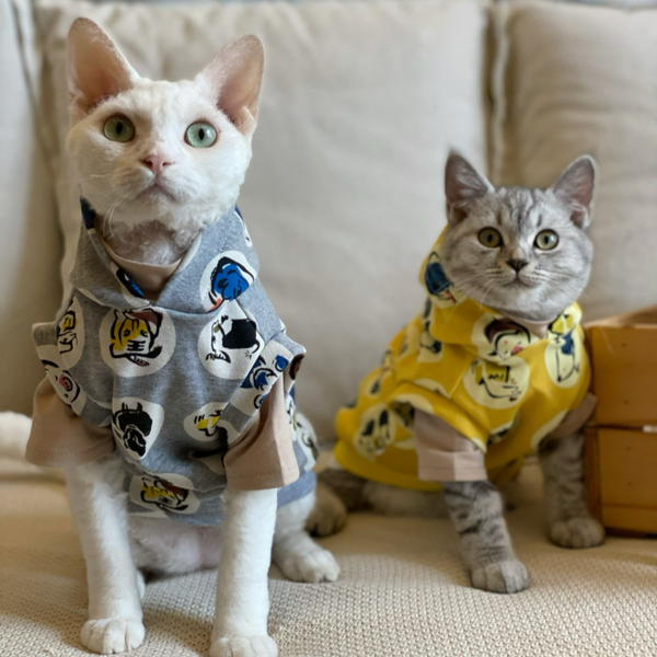PIKAPIKA