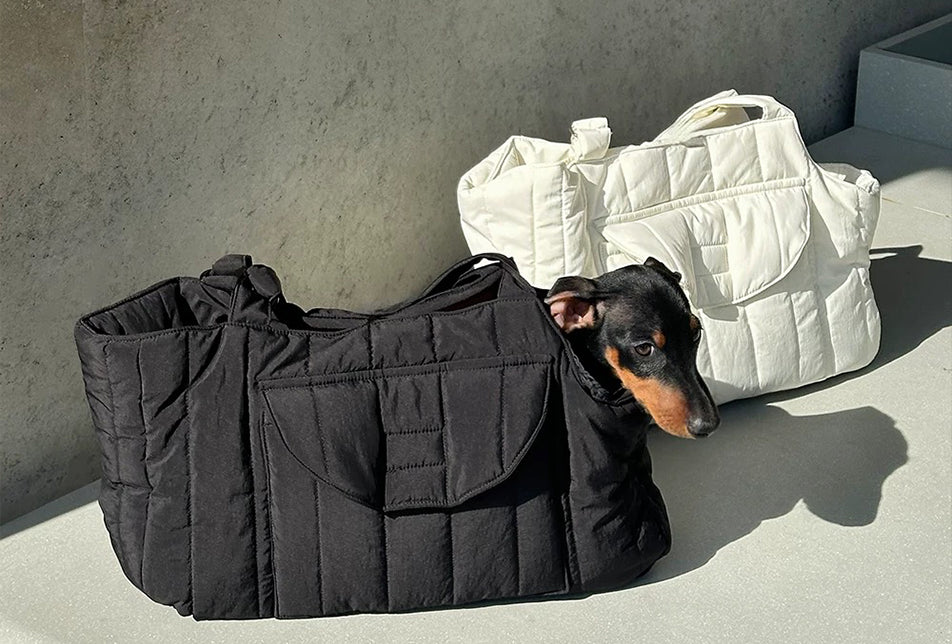 Travel Carriers