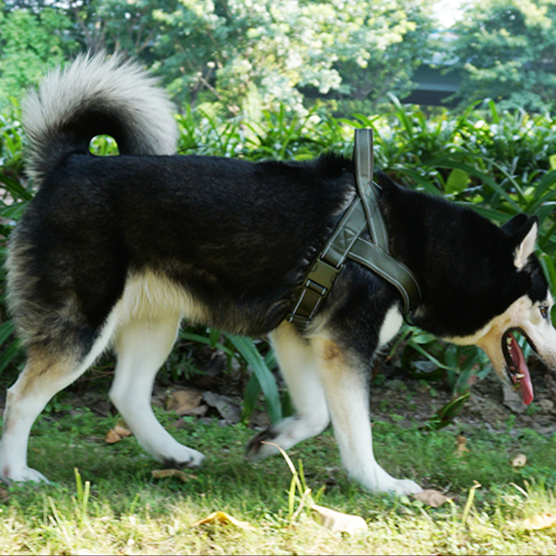 Large Dog Harness Collar Set No-Pull Anti-Escape Handle - PIKAPIKA