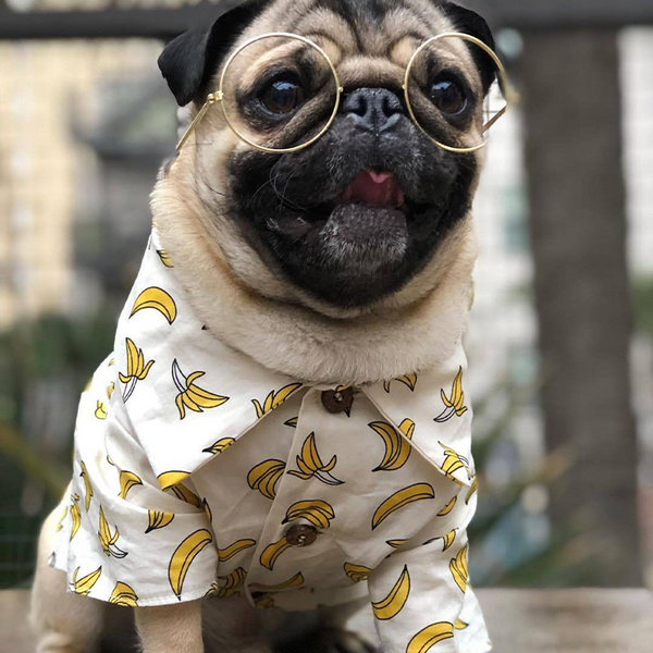 PIKAPIKA