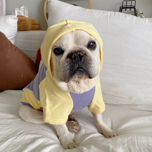 PIKAPIKA