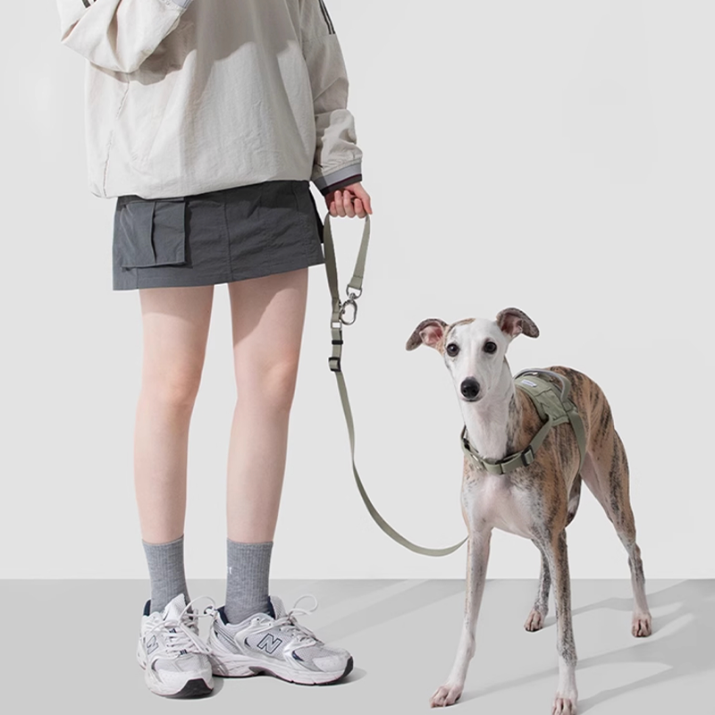 Easy-Wear Dog Harness – Anti-Pull Vest for Small Medium Breeds - PIKAPIKA