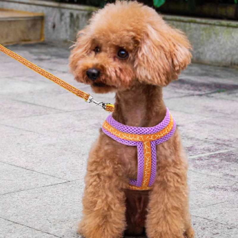 Small Dog Harness with Leash Vest-Style Set - PIKAPIKA