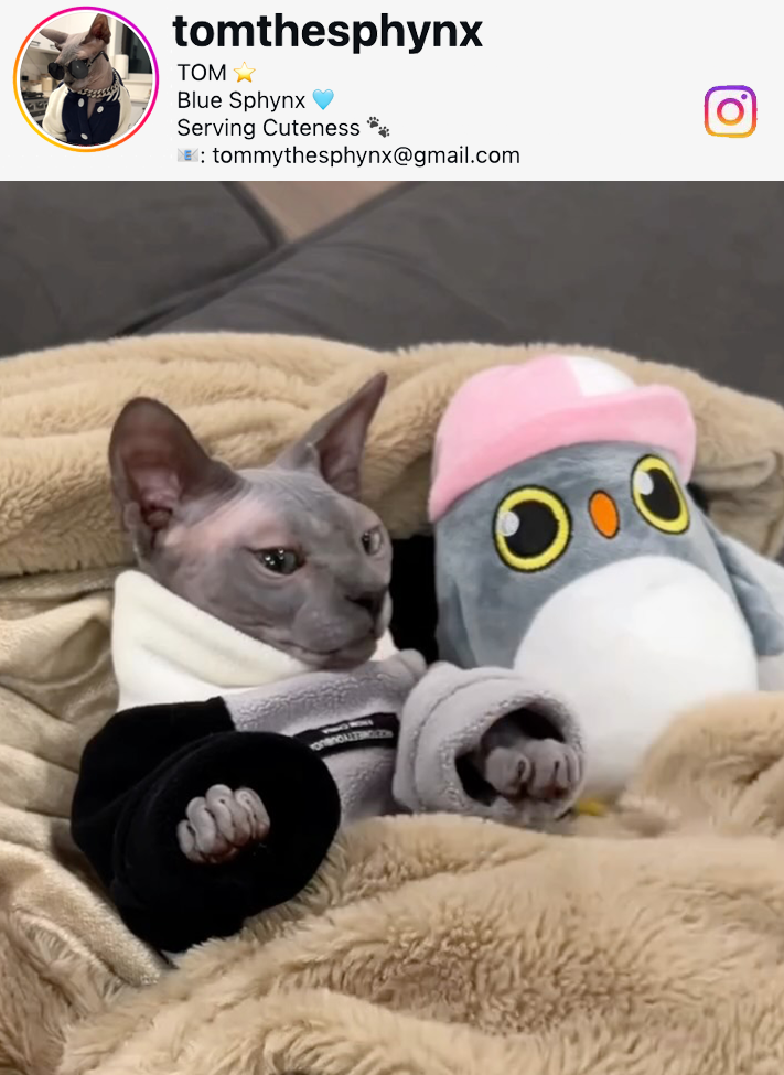 PIKAPIKA