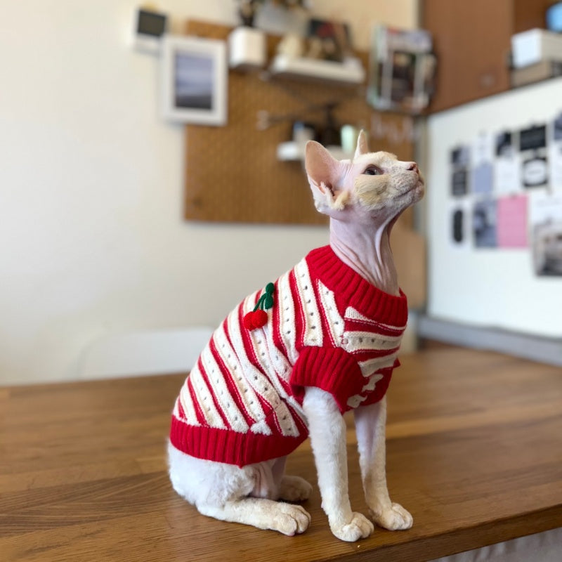 Merry Christmas for Cat
