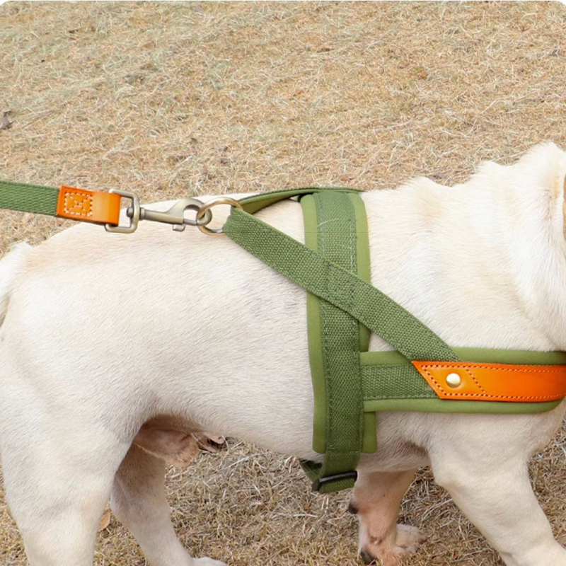 Essential Dog Harness No Pull Vest-Style Double-Clip Control with Leashes - PIKAPIKA