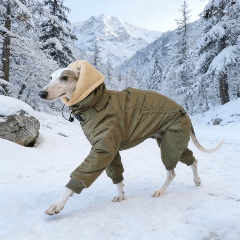 Dog Snowsuits | PIKAPIKA Waterproof & Warm Winter Clothes for Dogs Dog Snowsuits | PIKAPIKA Waterproof & Warm Winter Clothes for Dogs