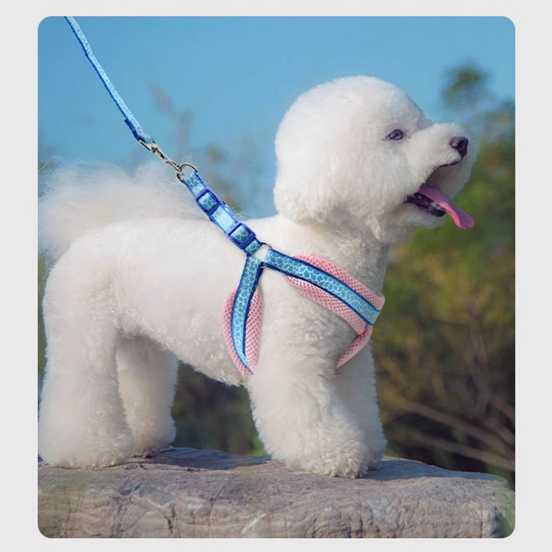 Small Dog Harness with Leash Vest-Style Set - PIKAPIKA