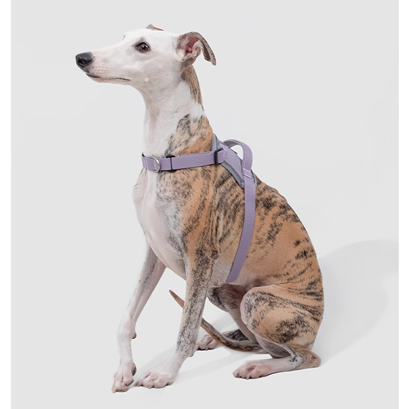 Easy-Wear Dog Harness – Anti-Pull Vest for Small Medium Breeds - PIKAPIKA