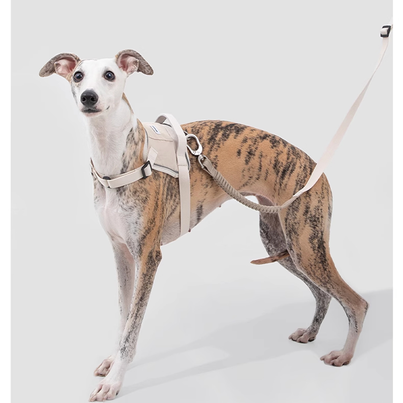 Easy-Wear Dog Harness – Anti-Pull Vest for Small Medium Breeds - PIKAPIKA