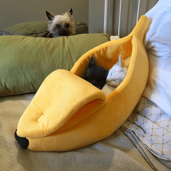 PIKAPIKA