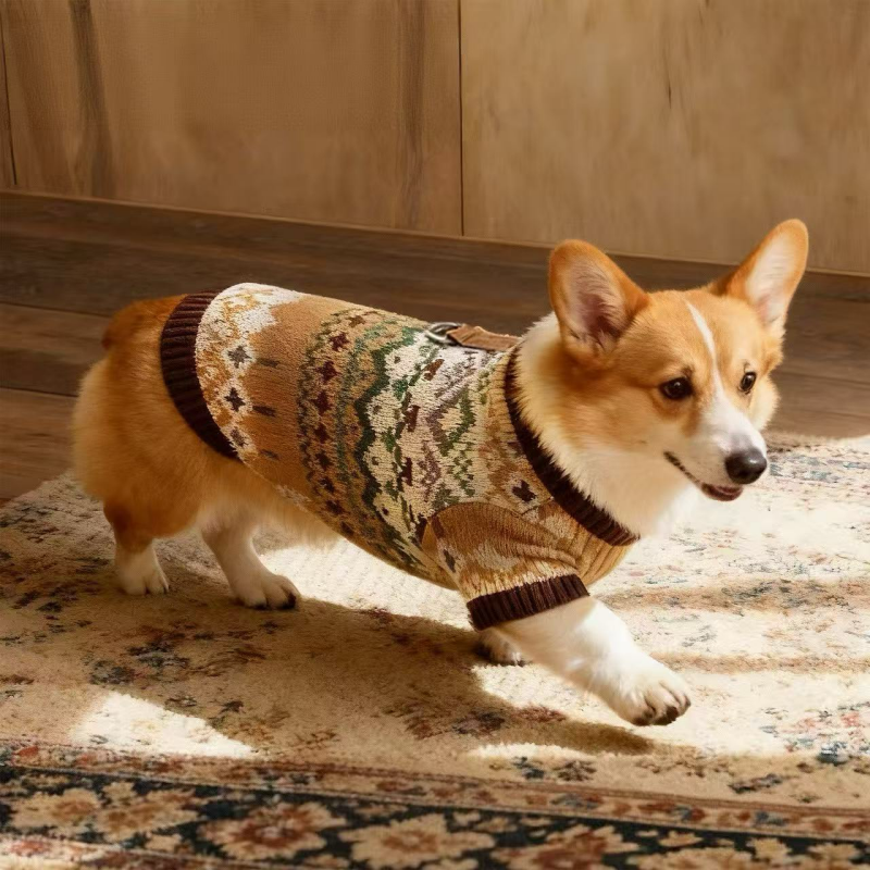 Corgi カシミヤ100% ドライバーズニット Corgi カシミヤ100% ドライバーズニット Corgi × MAIDENS SHOP