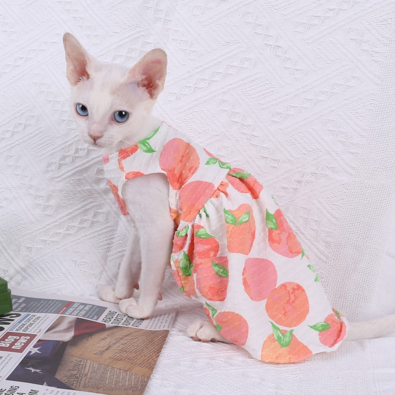 pink chicken cat dress Standard Chicken Tutu Dress- Princess Dress for Your Hen