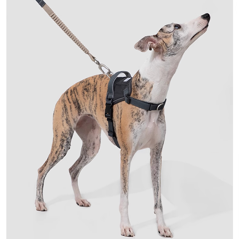 Easy-Wear Dog Harness – Anti-Pull Vest for Small Medium Breeds - PIKAPIKA